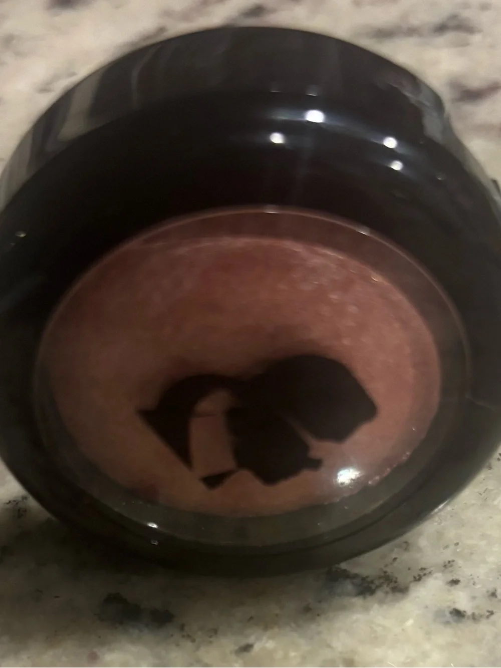 Karl Lagerfeld + ModelCo Baked Blush